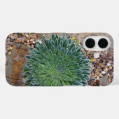 Sukkulente Wüste-Pflanze Case-Mate iPhone Hülle (Rückseite (Horizontal))