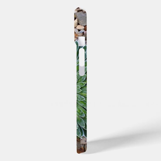 Sukkulente Wüste-Pflanze Case-Mate iPhone Hülle (Rückseite / Links)