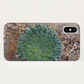 Sukkulente Wüste-Pflanze Case-Mate iPhone Hülle (Rückseite (Horizontal))