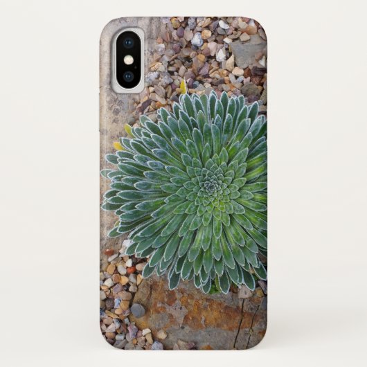 Sukkulente Wüste-Pflanze Case-Mate iPhone Hülle (Rückseite)