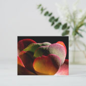 Sukkulente Wüste-Pflanze Postkarte (Stehend Vorderseite)