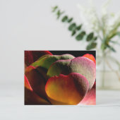 Sukkulente Wüste-Pflanze Postkarte (Stehend Vorderseite)