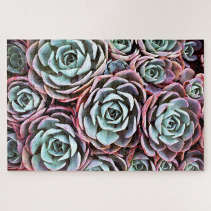 Sukkulente Wüste Rose Kaktus Farbe Foto 20 x 30 Puzzle