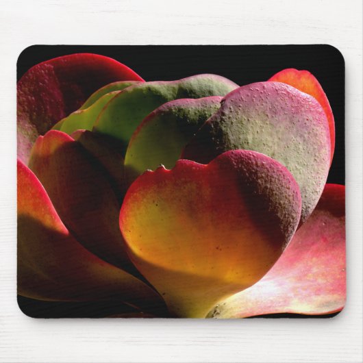 Sukkulente Wüstenpflanze Mousepad (Vorne)