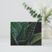 Sukkulente Zebra-Pflanze Postkarte (Stehend Vorderseite)