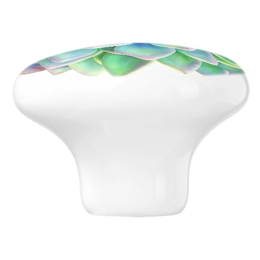 Sukkulente Zierknopf Keramikknauf (Seitenansicht)