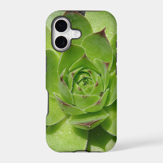 Sukkulenten-iPhone-Hülle