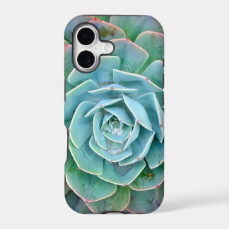 Sukkulenten-iPhone-Hülle