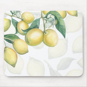 Sukkulenten Moderne Eleganz Marmor Fiesta Garten Mousepad