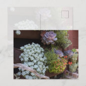 Sukkulenten-Postkarte Postkarte (Vorne/Hinten)