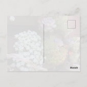 Sukkulenten-Postkarte Postkarte (Rückseite)