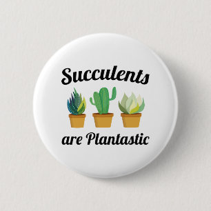 Sukkulenten sind pflanzenzenmäßig button