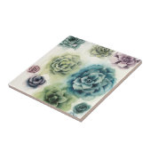 Sukkulentencluster Fliese (Seite)