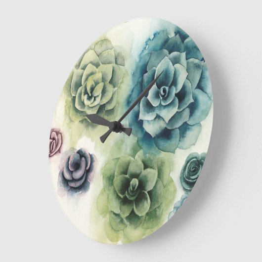 Sukkulentencluster Große Wanduhr (Winkel)