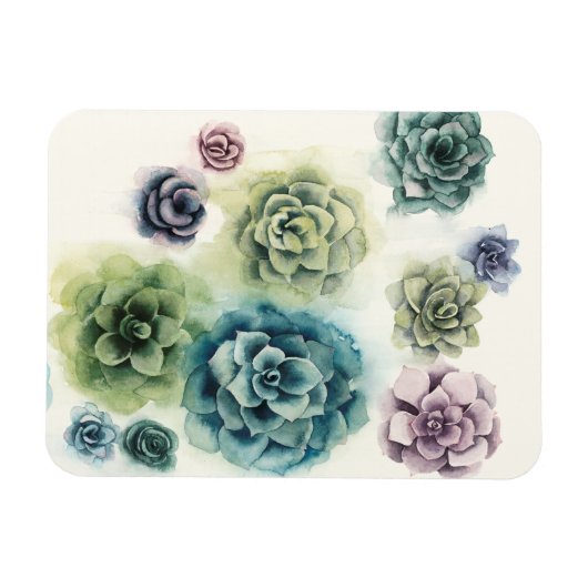 Sukkulentencluster Magnet (Horizontal)