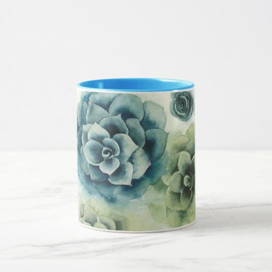 Sukkulentencluster Tasse (Zentrum)