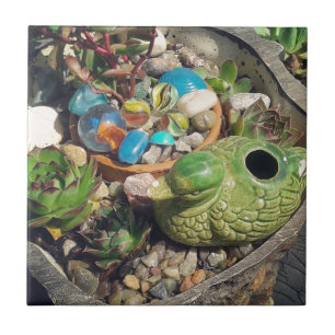 Sukkulentengarten Kunst #inmeinemGarten #sukkulent Fliese