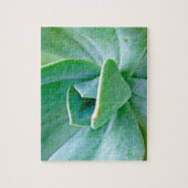 Sukkulenter Swirl Puzzle (Vertikal)