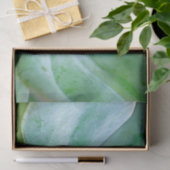 Sukkulenter Swirl Seidenpapier (Geschenk)