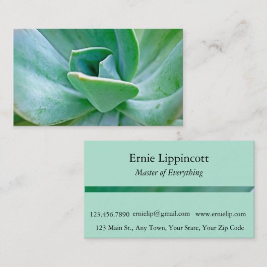 Sukkulenter Swirl Visitenkarte (Vorne/Hinten)