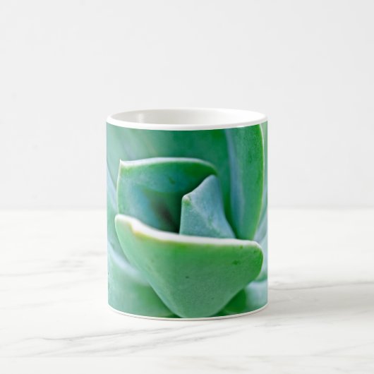 Sukkulenter Wirbel Kaffeetasse (Mittel)