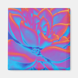 Sukkulentes Mysterium Magnet