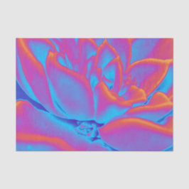 Sukkulentes Mysterium Seidenpapier