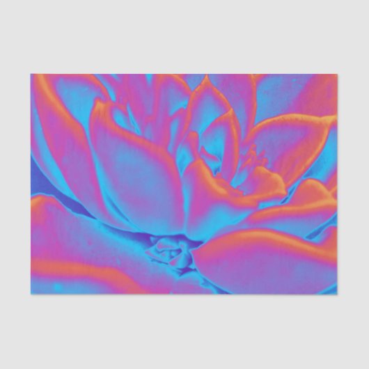 Sukkulentes Mysterium Seidenpapier (Vorderseite)