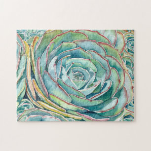 Sukkulentes Puzzle: Blaue Rose Echevera Puzzle