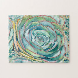 Sukkulentes Rätsel: Blaue Rose Echeveria Puzzle