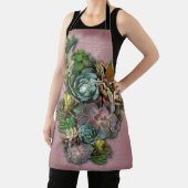 Sukkulinarische Vorführungen Schürze (InSitu)