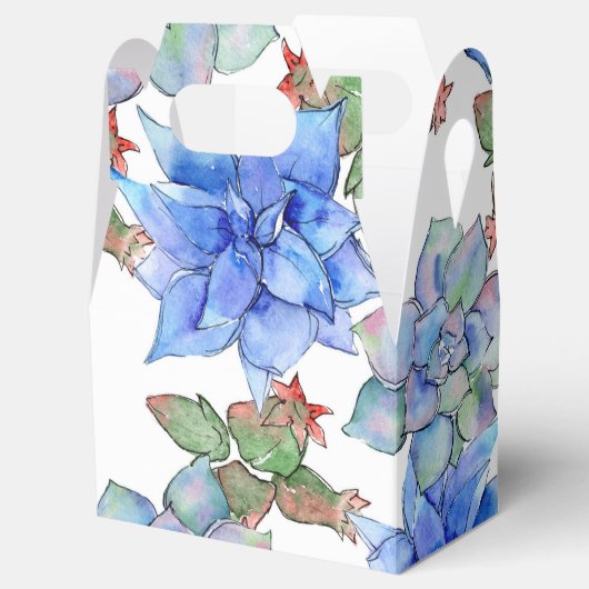 Sukkuline Geschenkschachtel (Geöffnet)