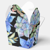 Sukkuline Geschenkschachtel (Geöffnet)