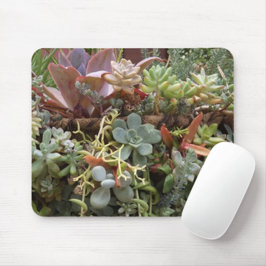 Sukkuline Mousepad (Mit Mouse)