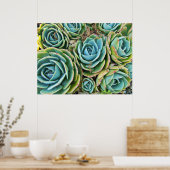 Sukkuline Poster (Küche)