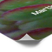 Sukkuline Poster (Ecke)