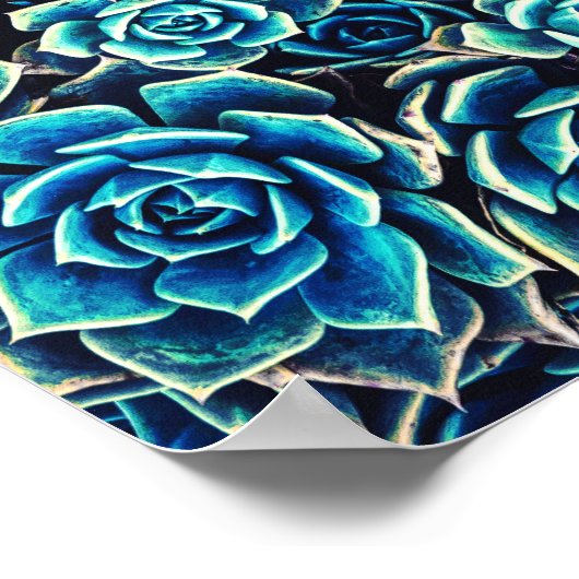 Sukkuline Poster (Ecke)