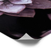 Sukkuline Poster (Ecke)