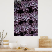 Sukkuline Poster (Küche)