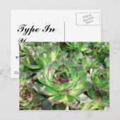 Sukkuline Postkarte (Vorne/Hinten)