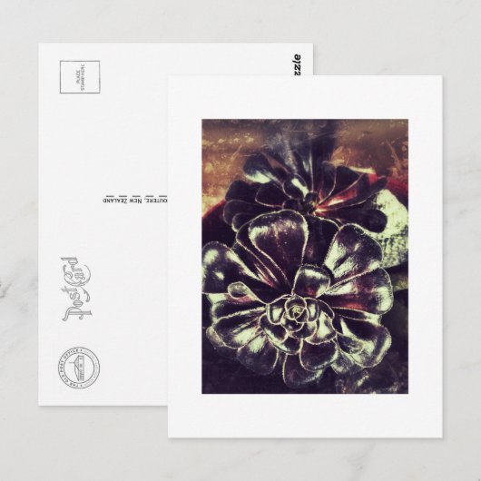 Sukkuline Postkarte (Vorne/Hinten)