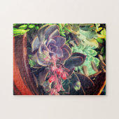 Sukkuline Puzzle (Horizontal)