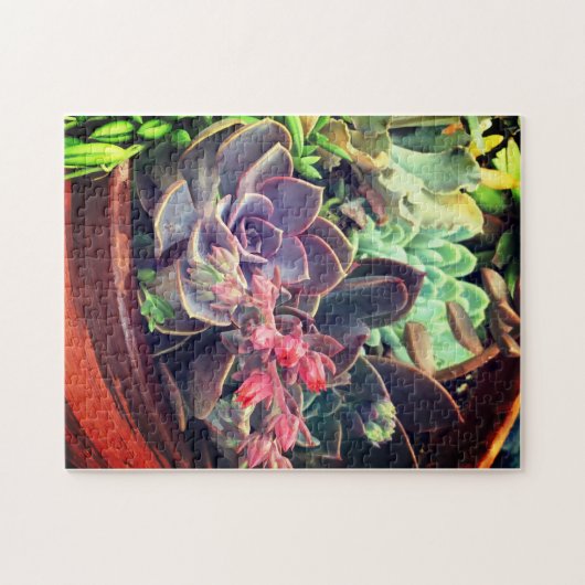 Sukkuline Puzzle (Horizontal)