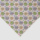 Sukkuline Seidenpapier (Detail)