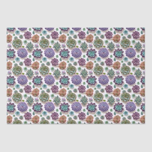 Sukkuline Seidenpapier (Vorderseite)