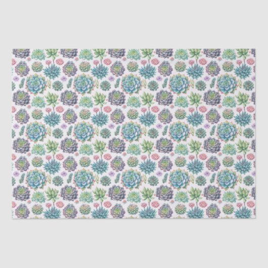 Sukkuline Seidenpapier (Vorderseite)