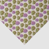 Sukkuline Seidenpapier (Detail)