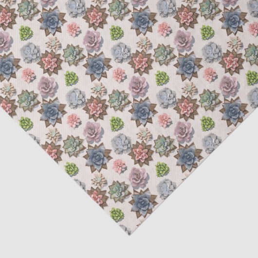 Sukkuline Seidenpapier (Detail)