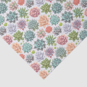 Sukkuline Seidenpapier (Detail)