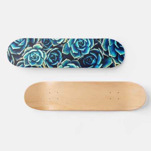 Sukkuline Skateboard (Horizontal)